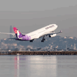 Rampant cybercriminal group targets US airlines
